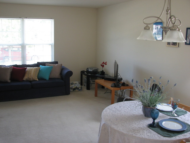 1309 Bluejay Lane Plainfield, IL 60586 - Photo 3 of 20