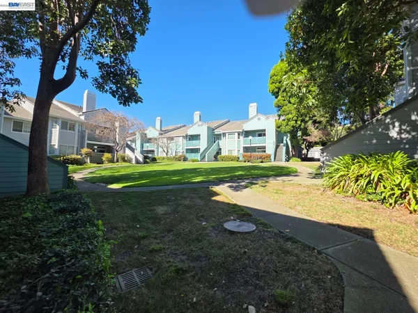 a view of yard with swimming pool and green space