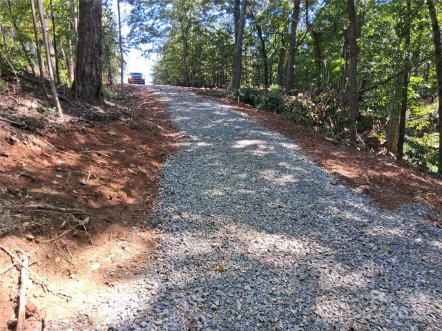 a view of backyard with large trees