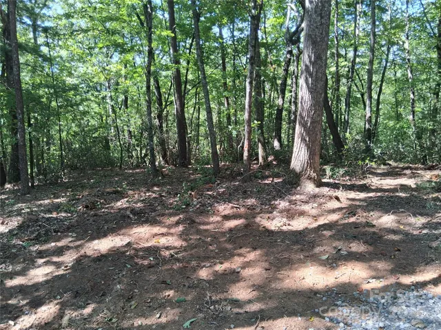 a view of outdoor space with trees