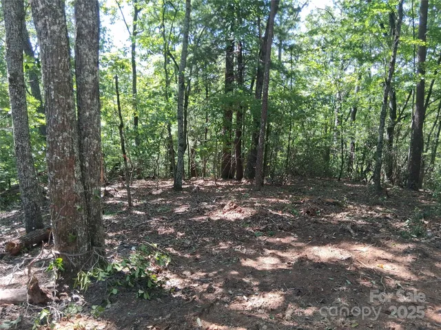 a view of outdoor space and trees
