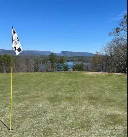 a view of a field with a yard