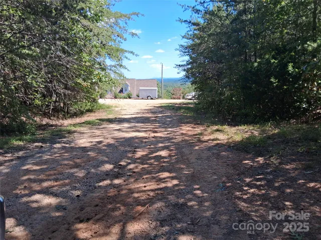 a view of road and trees