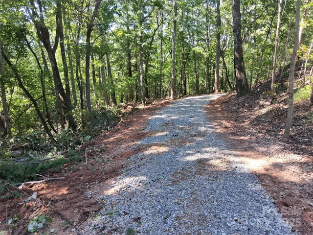 a view of backyard with green space
