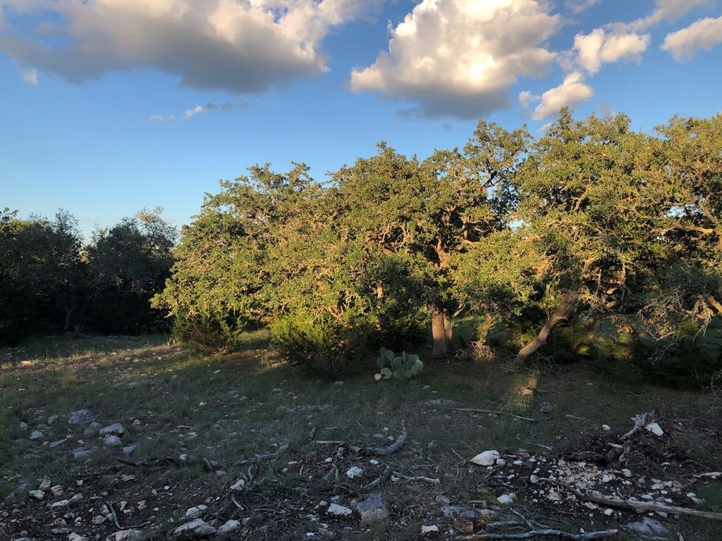 0 Zenner-Ahrens Road, Unit 1 Kerrville, TX 78028 - Photo 3 of 4