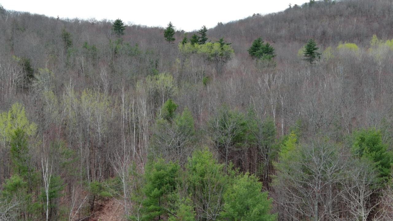 75 Bond Spring Road Newfield, ME 04095 - Photo 9 of 17 MAX_0018