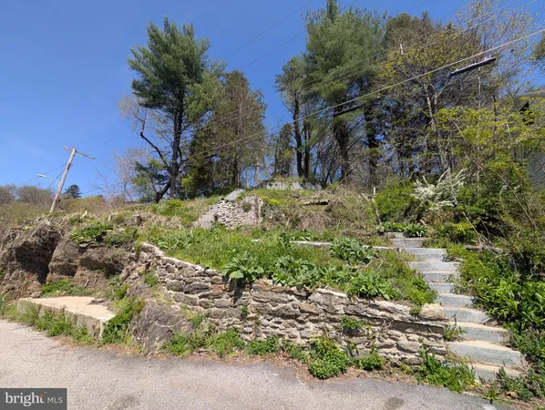 a view of a yard with plants and trees