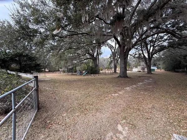 a view of empty yard with green space