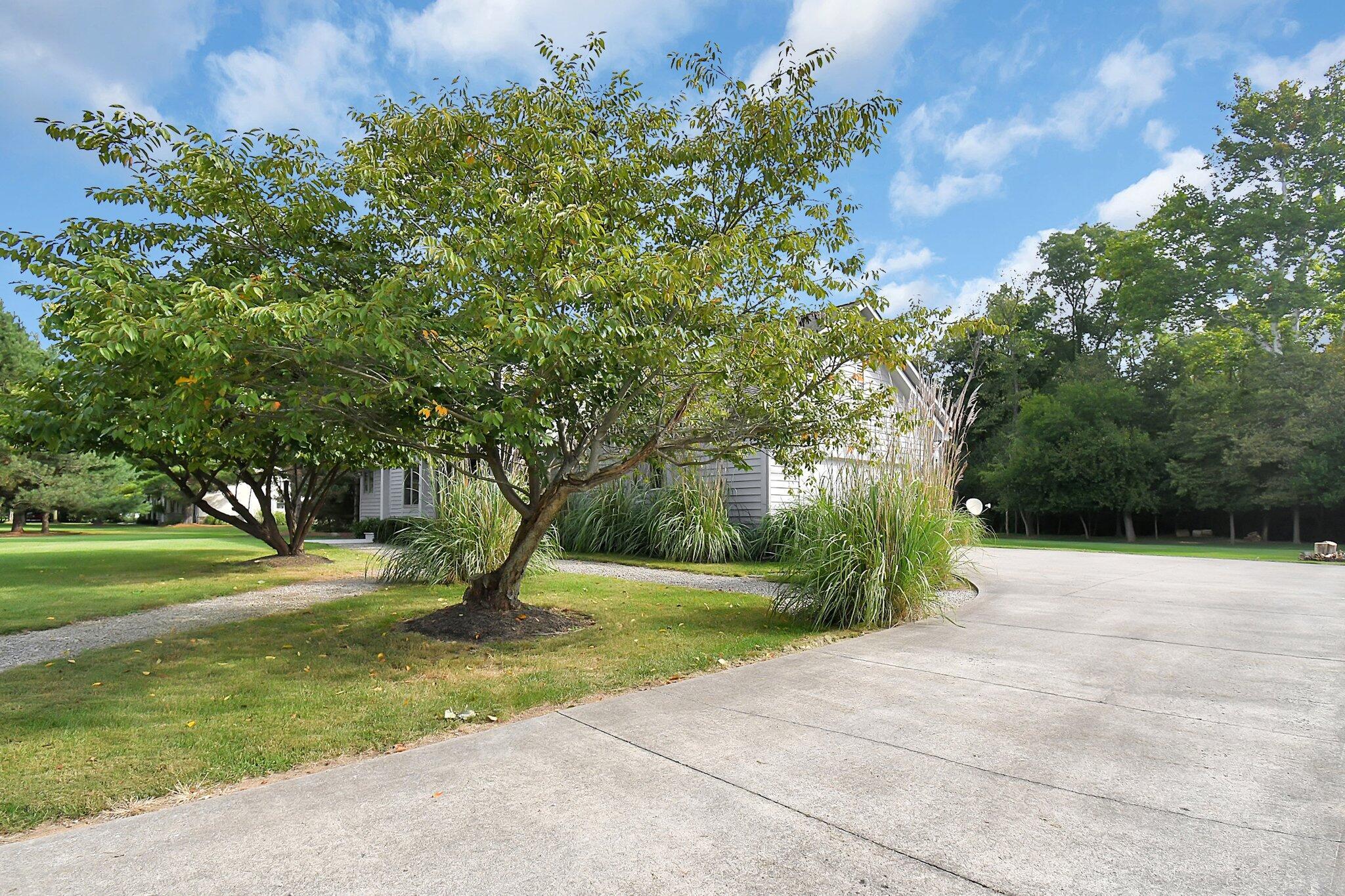 3417 Klondike Road Delaware, OH 43015 - Photo 39 of 61 Driveway