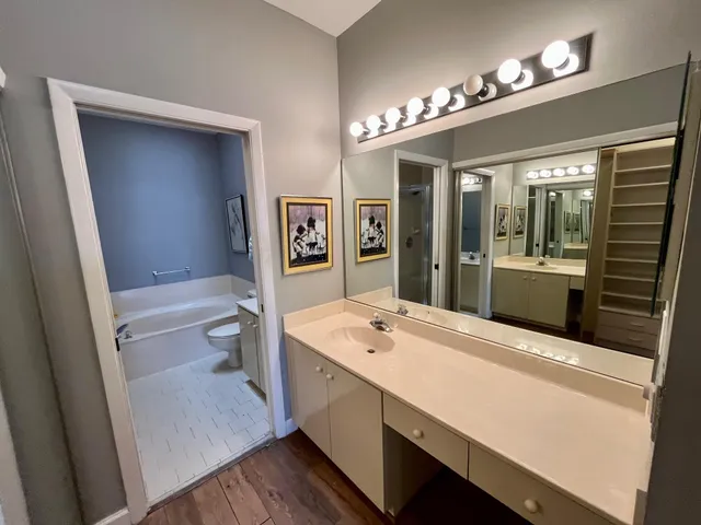 a bathroom with a sink a toilet a mirror and vanity