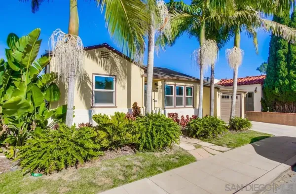 a view of a house with potted plants and palm trees