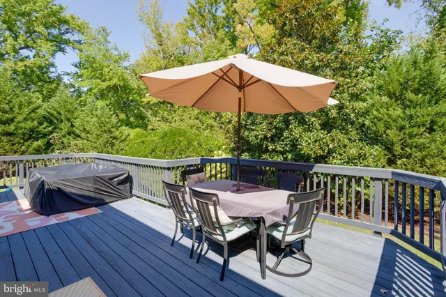 a view of a swimming pool with a garden