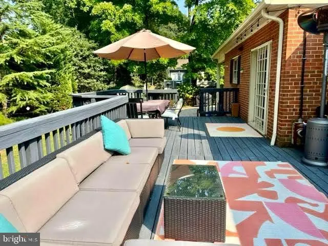 a view of a garden with a tree