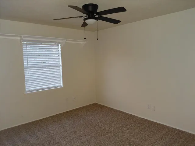 a view of backyard and tree