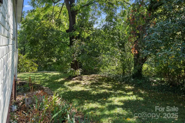 a view of a city with lush green forest