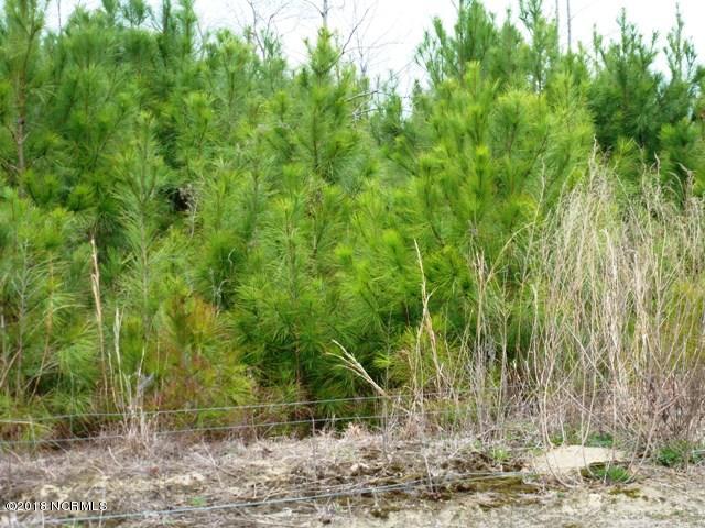73-acres Eneas Lanier Road Chinquapin, NC 28521 - Photo 1 of 23 Primary View