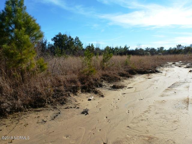 73-acres Eneas Lanier Road Chinquapin, NC 28521 - Photo 13 of 23 P1100005