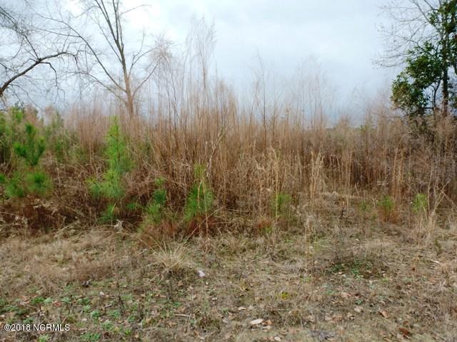 73-acres Eneas Lanier Road Chinquapin, NC 28521 - Photo 20 of 23 P1100021