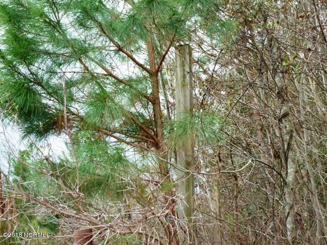 73-acres Eneas Lanier Road Chinquapin, NC 28521 - Photo 23 of 23 P1100024
