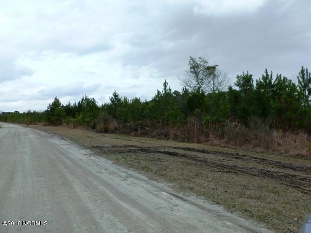 73-acres Eneas Lanier Road Chinquapin, NC 28521 - Photo 6 of 23 P1100011