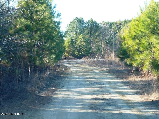 73-acres Eneas Lanier Road Chinquapin, NC 28521 - Photo 10 of 23 P1100006