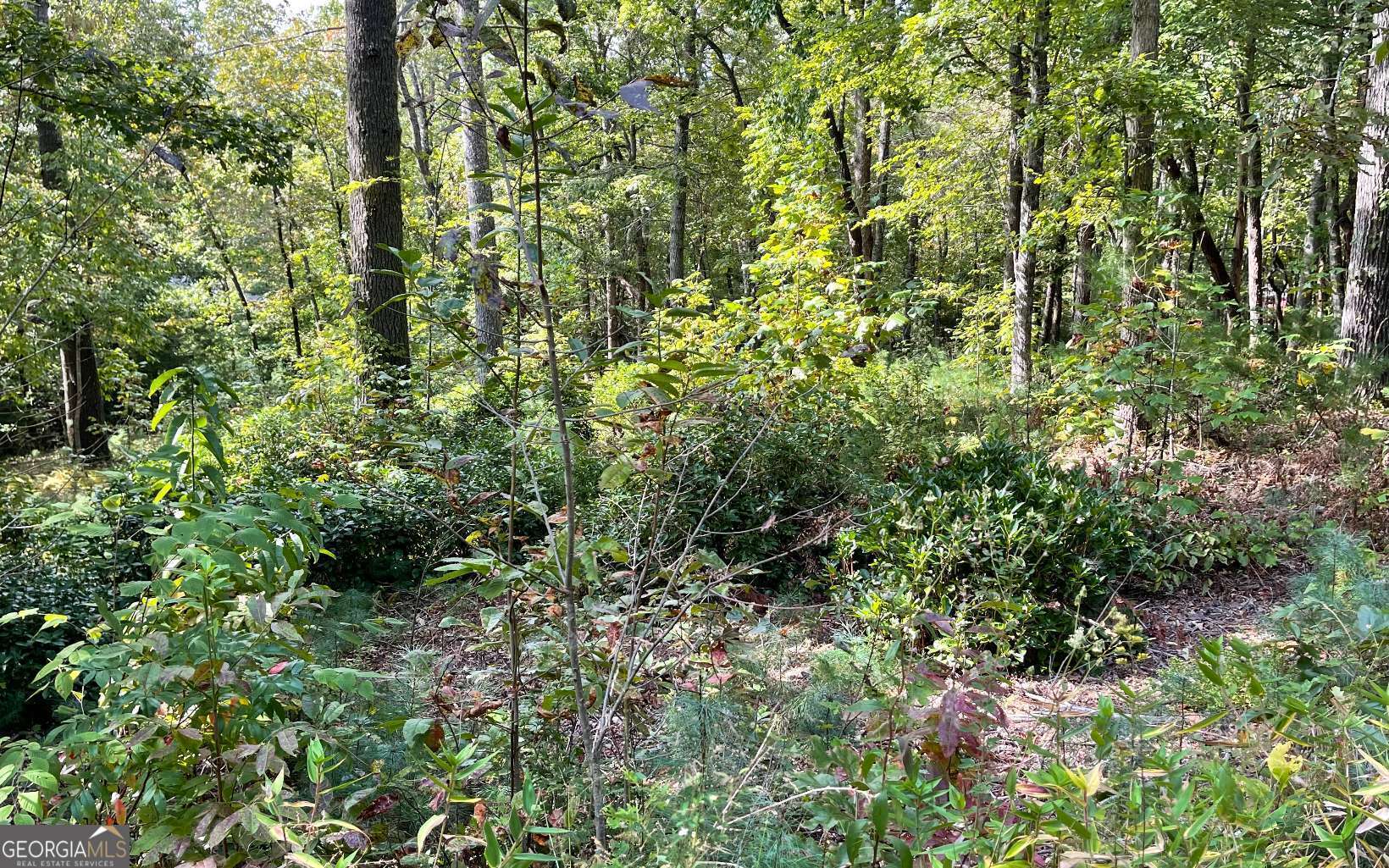 Lot E Timber Ridge Lane Hayesville, NC 28904 - Photo 1 of 16