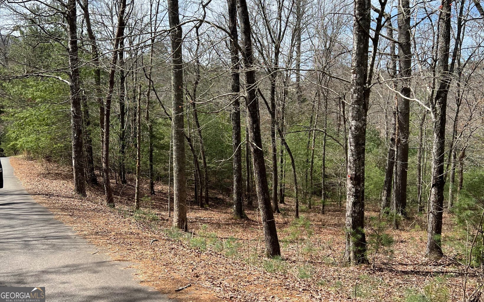 Lot E Timber Ridge Lane Hayesville, NC 28904 - Photo 11 of 16