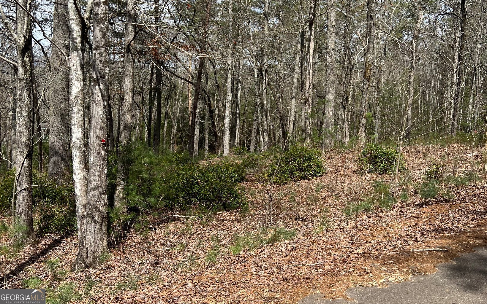 Lot E Timber Ridge Lane Hayesville, NC 28904 - Photo 13 of 16