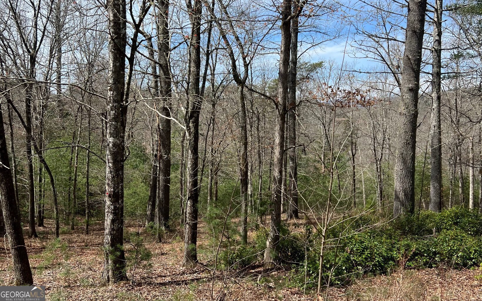 Lot E Timber Ridge Lane Hayesville, NC 28904 - Photo 14 of 16