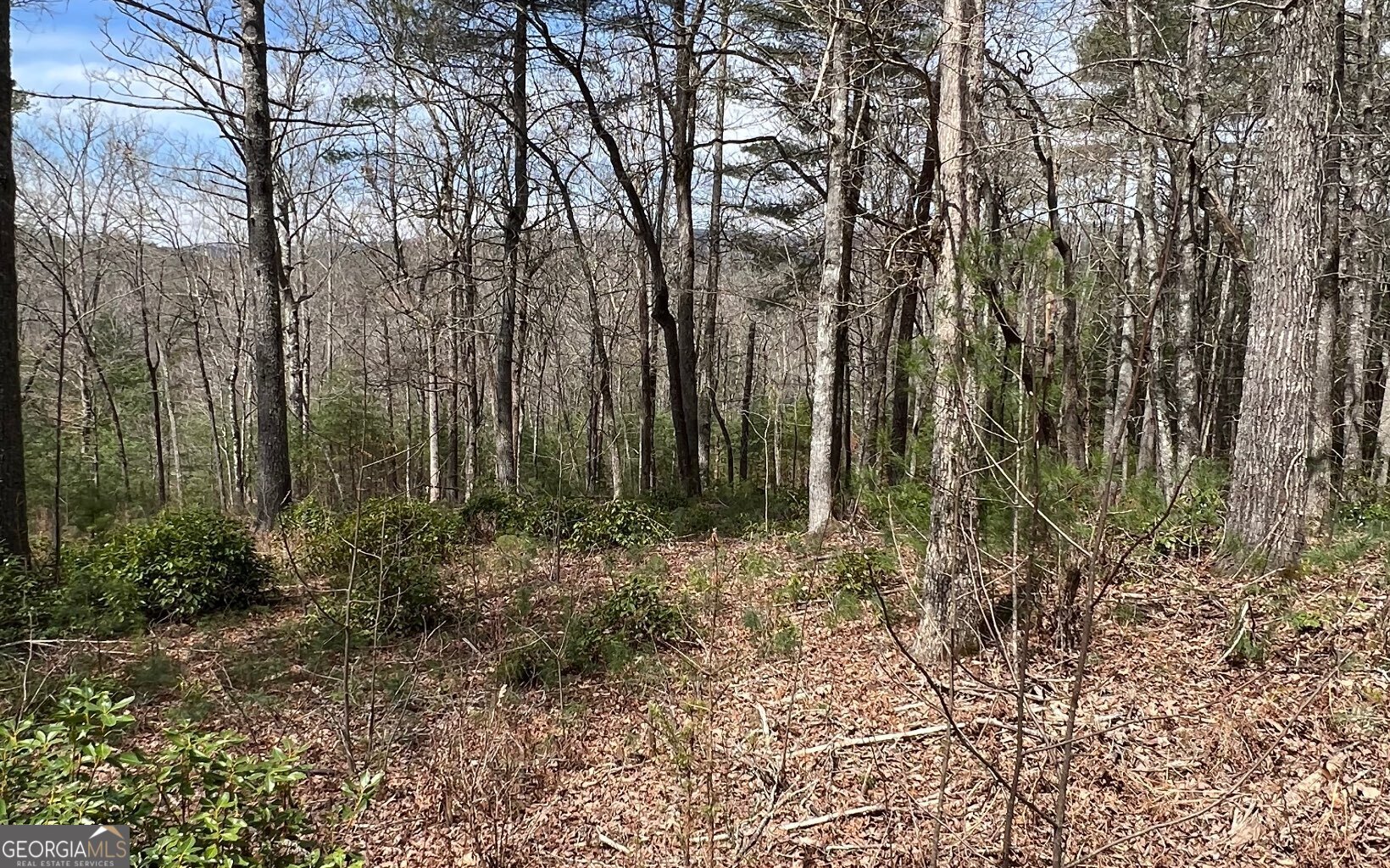 Lot E Timber Ridge Lane Hayesville, NC 28904 - Photo 15 of 16