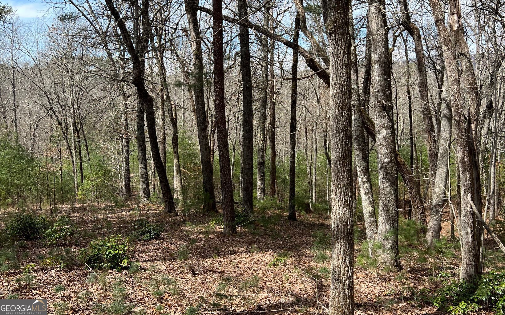 Lot E Timber Ridge Lane Hayesville, NC 28904 - Photo 16 of 16