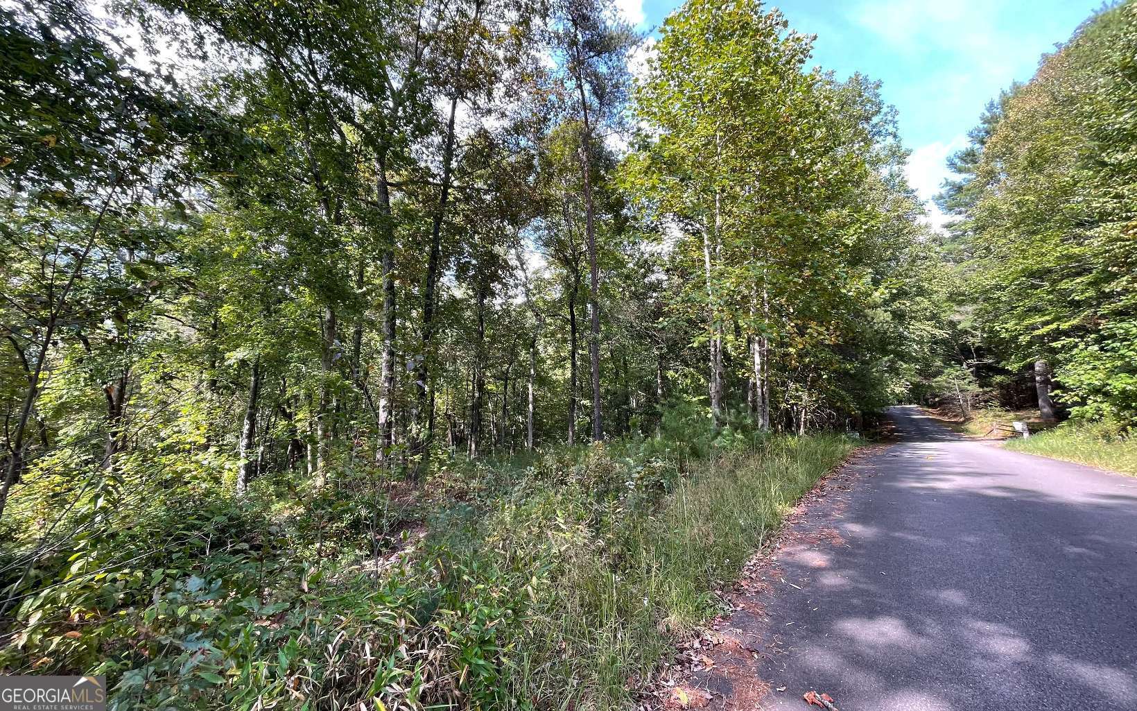 Lot E Timber Ridge Lane Hayesville, NC 28904 - Photo 2 of 16