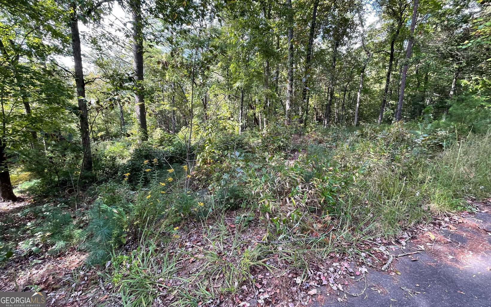 Lot E Timber Ridge Lane Hayesville, NC 28904 - Photo 4 of 16