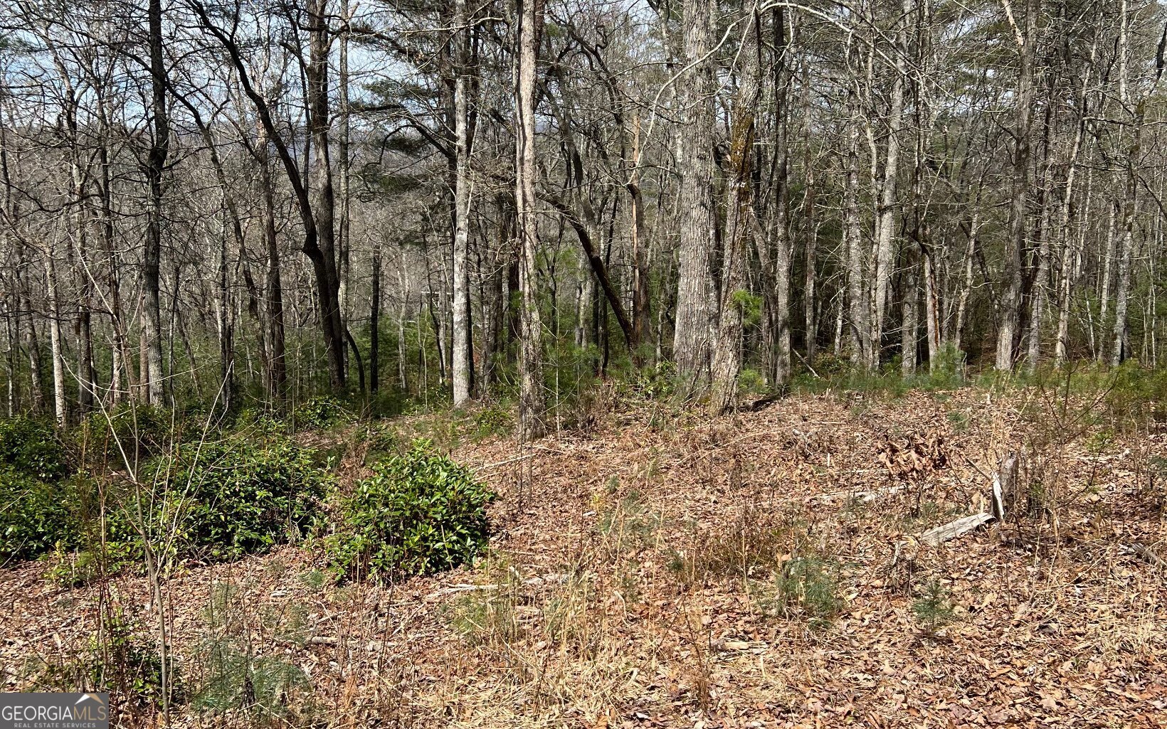 Lot E Timber Ridge Lane Hayesville, NC 28904 - Photo 6 of 16