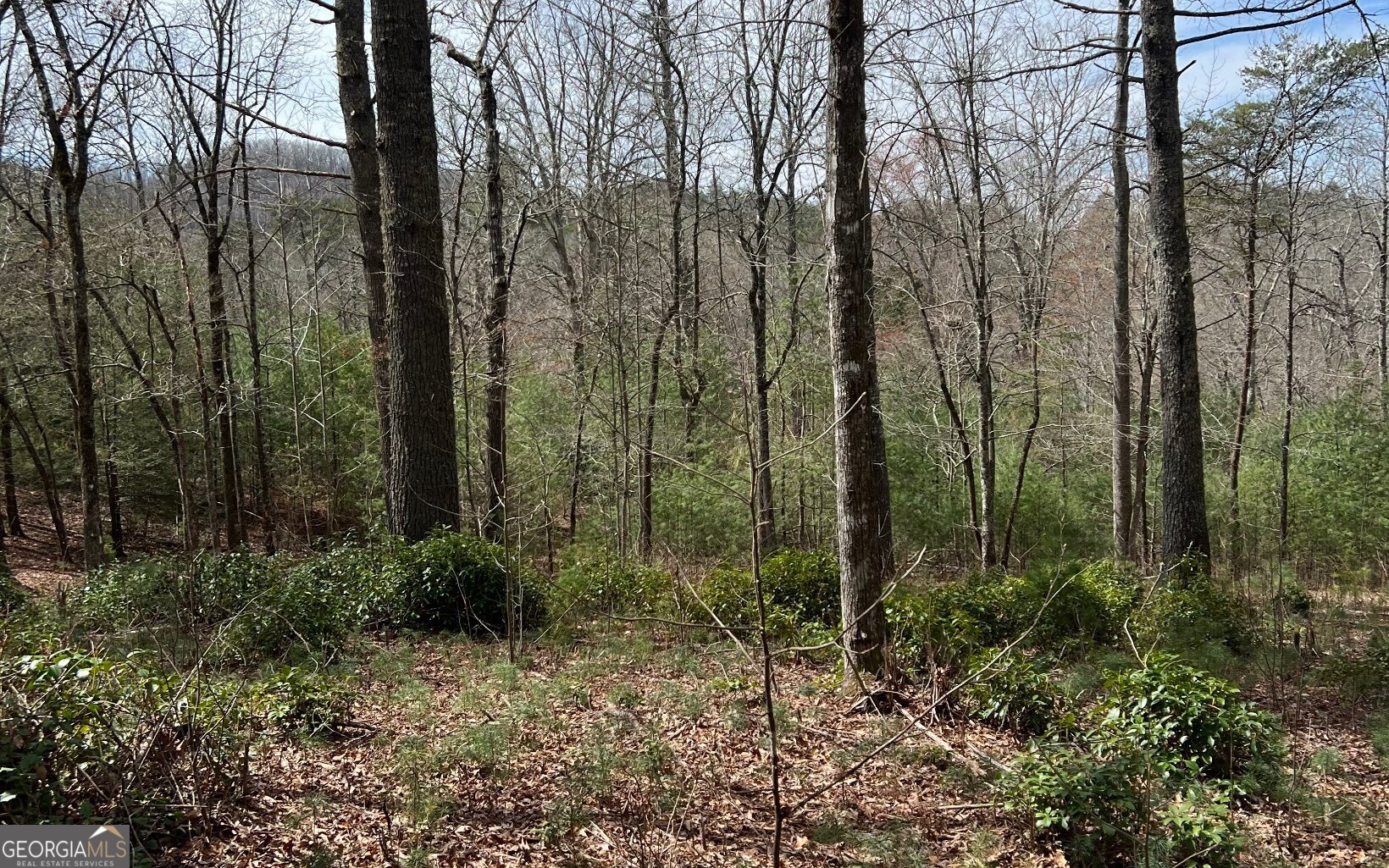 Lot E Timber Ridge Lane Hayesville, NC 28904 - Photo 7 of 16