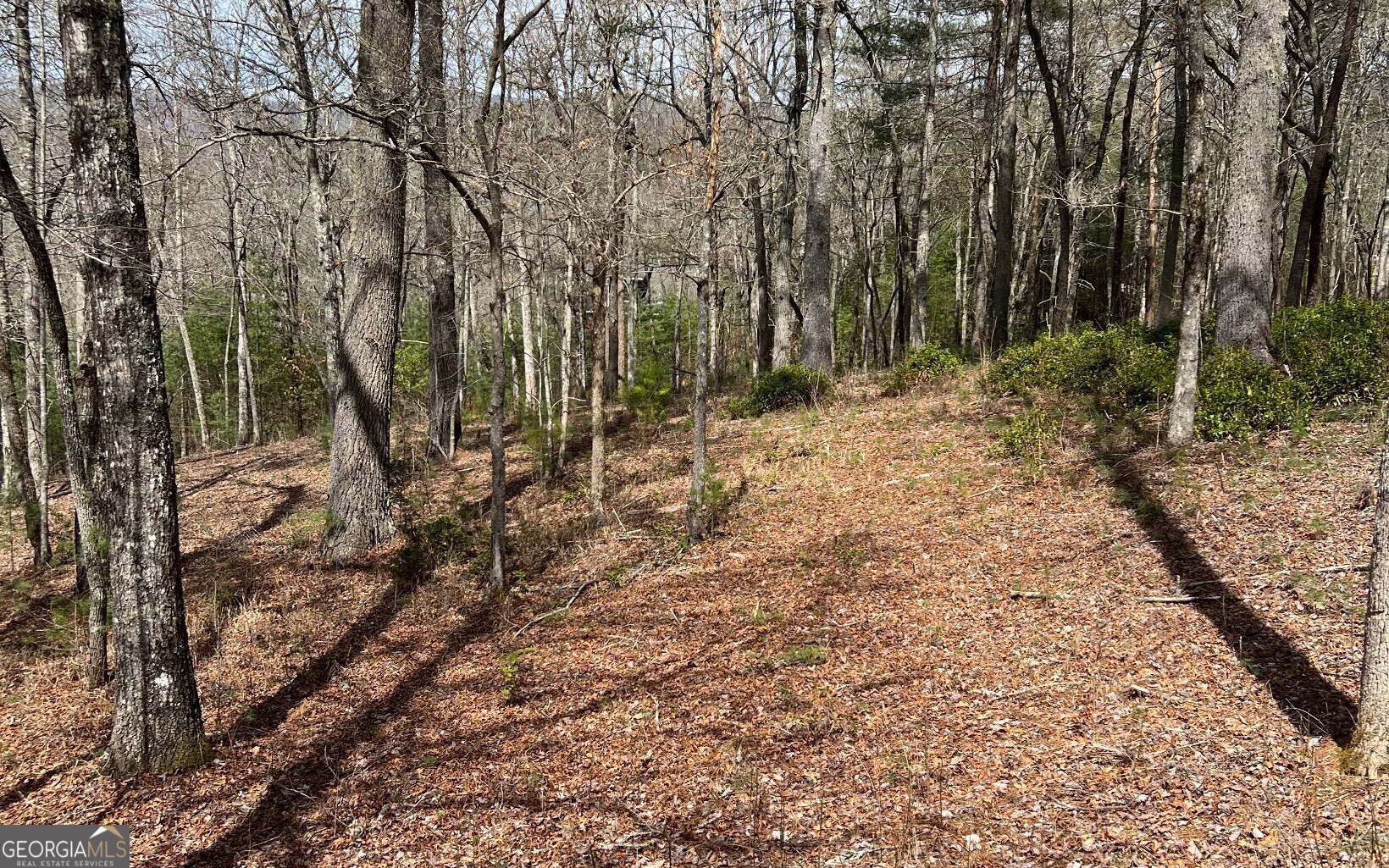 Lot E Timber Ridge Lane Hayesville, NC 28904 - Photo 8 of 16