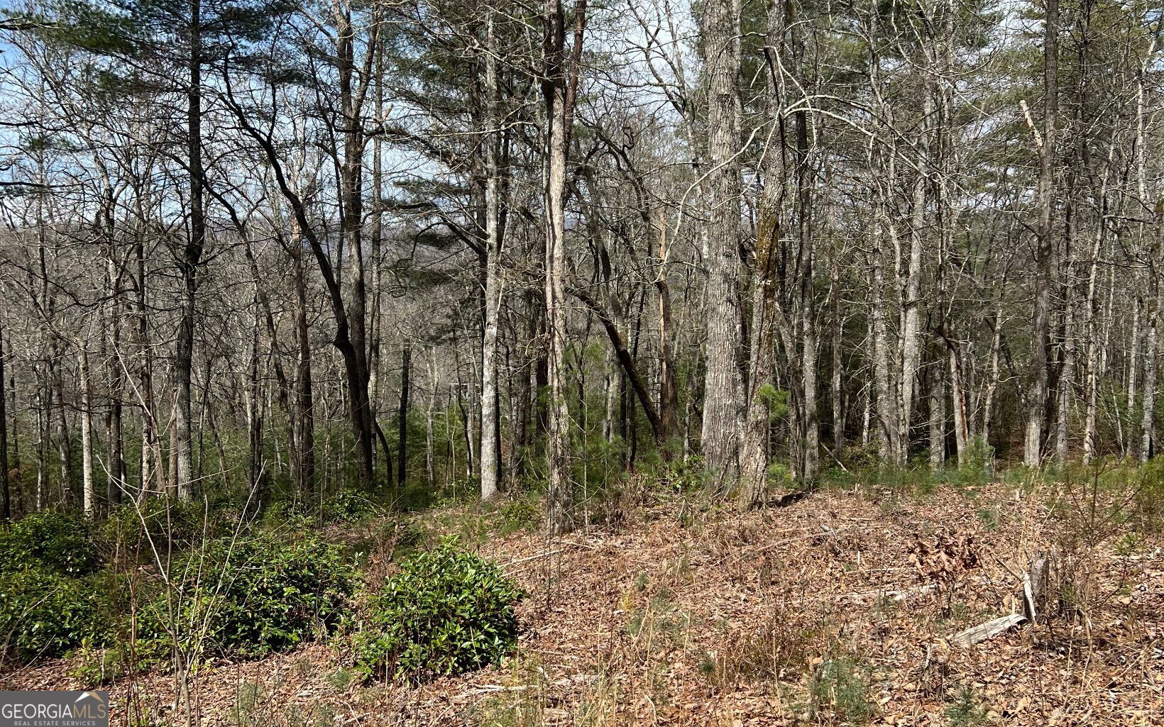 Lot E Timber Ridge Lane Hayesville, NC 28904 - Photo 9 of 16