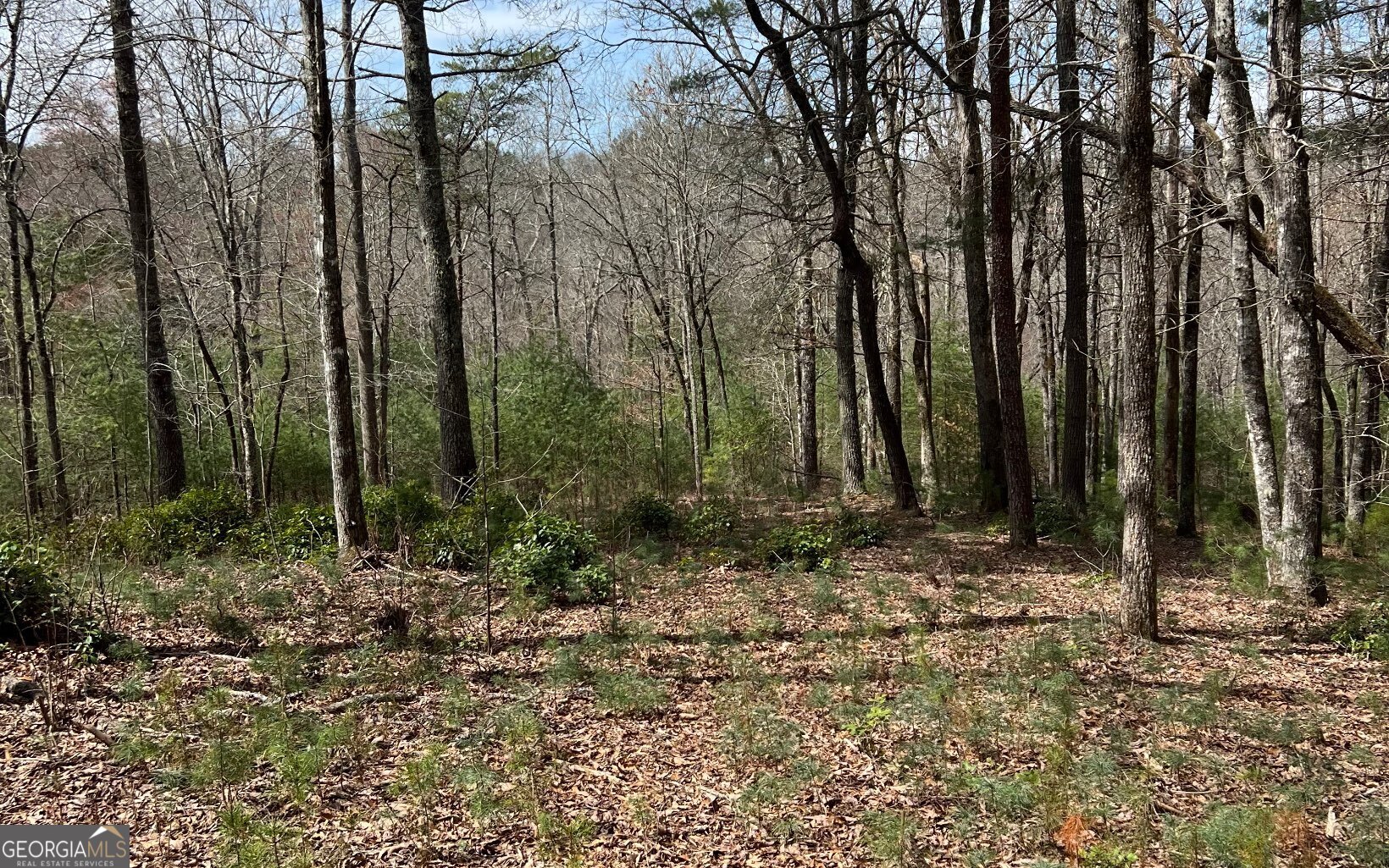 Lot E Timber Ridge Lane Hayesville, NC 28904 - Photo 10 of 16