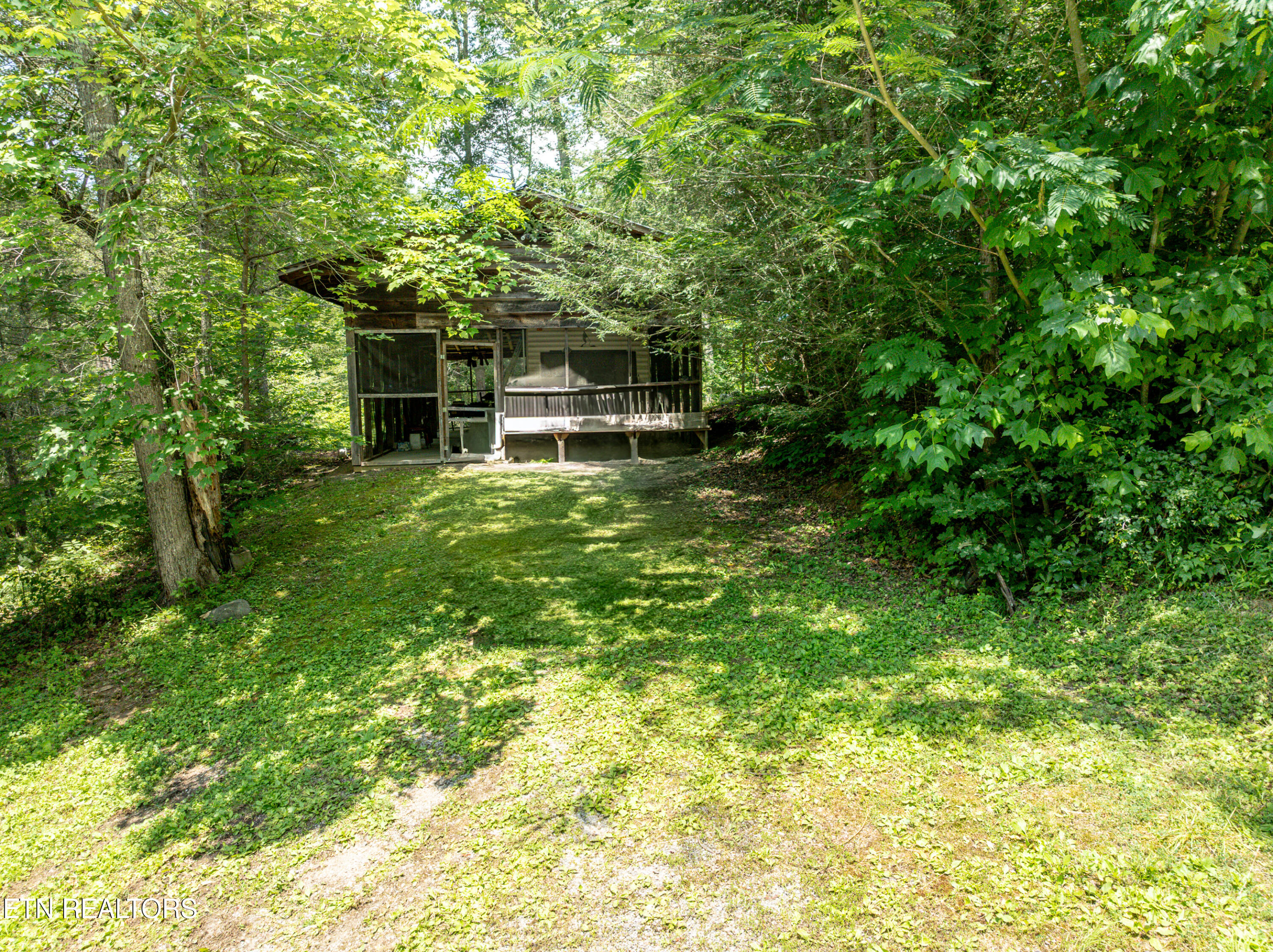 219 Tom Henry Road Townsend, TN 37882 - Photo 1 of 9 IMG_0089