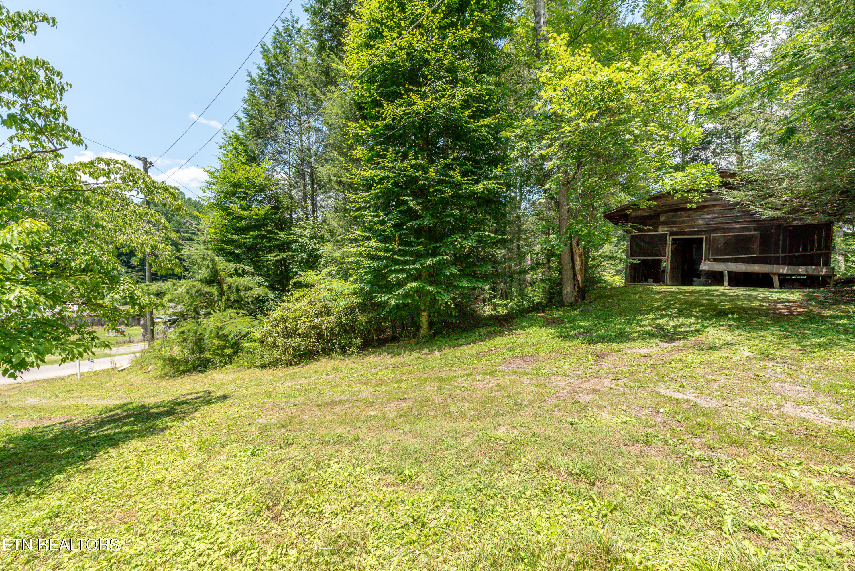 219 Tom Henry Road Townsend, TN 37882 - Photo 2 of 9 IMG_0081