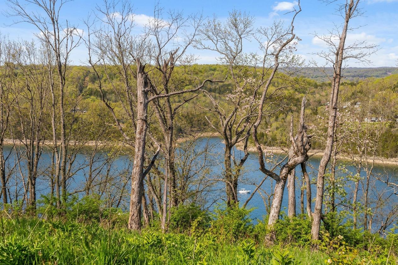 0 Long Bend Road Galena, MO 65656 - Photo 18 of 57 VIRTUALLY ENCHANCED (11)