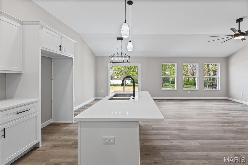 1009 Waymaker Lane Waterloo, IL 62298 - Photo 23 of 27 Gallery Image 23