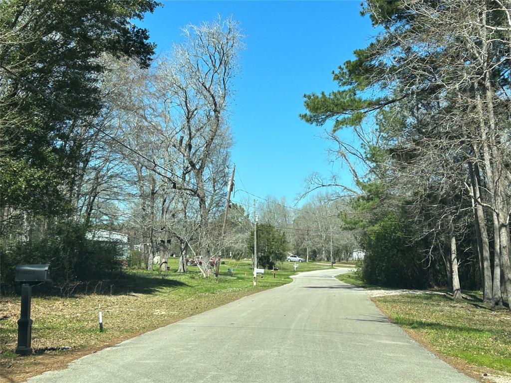 0 Royal Creek Road Conroe, TX 77303 - Photo 16 of 19 a view of a park