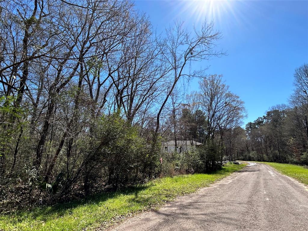 0 Royal Creek Road Conroe, TX 77303 - Photo 2 of 19 a view of backyard with green space