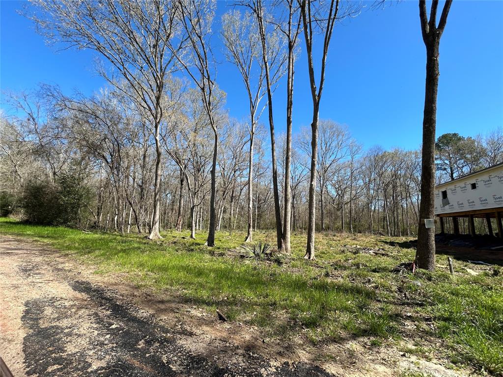 0 Royal Creek Road Conroe, TX 77303 - Photo 8 of 19 a view of outdoor space with trees