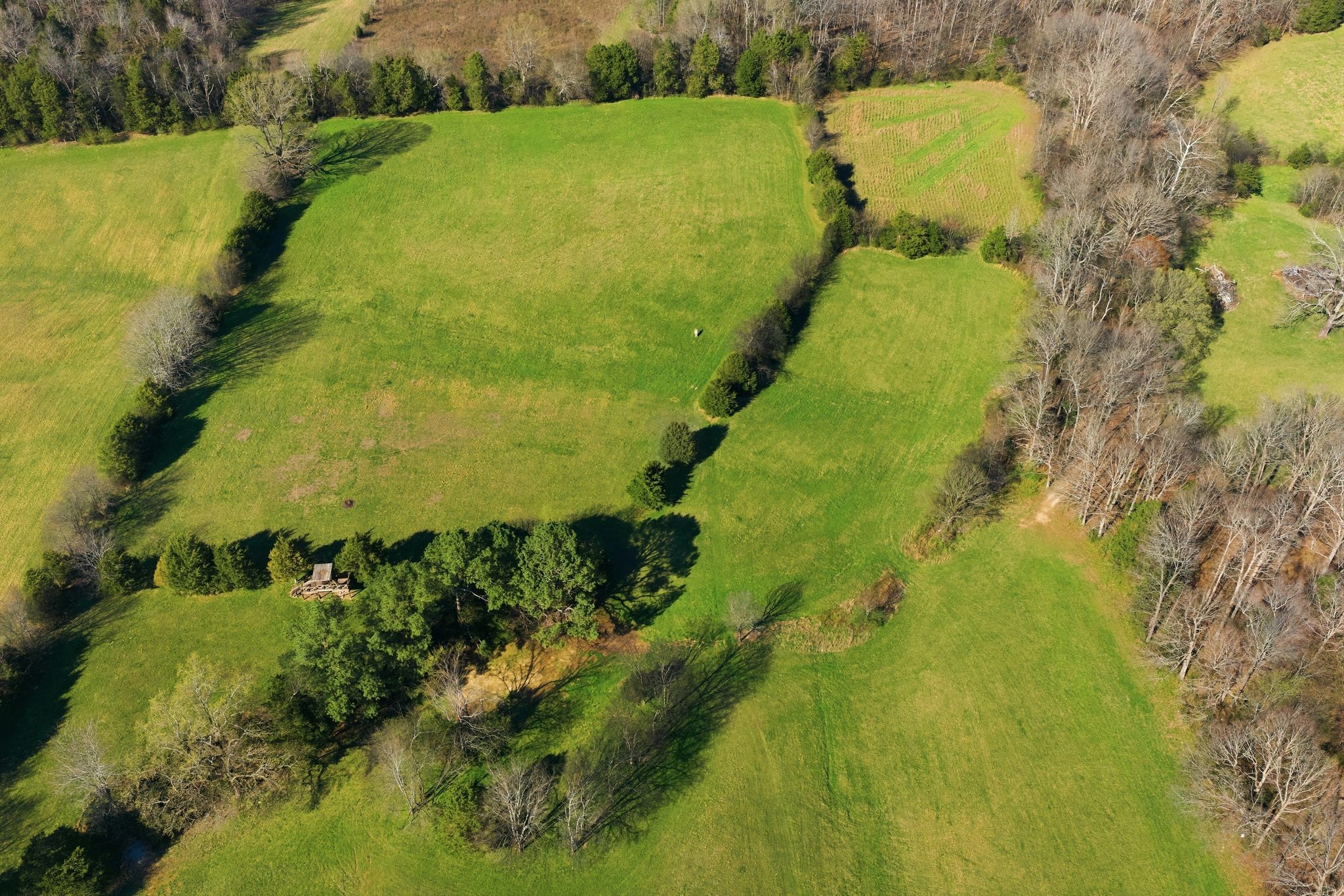 4041 Liverworth Road Southside, TN 37171 - Photo 57 of 63