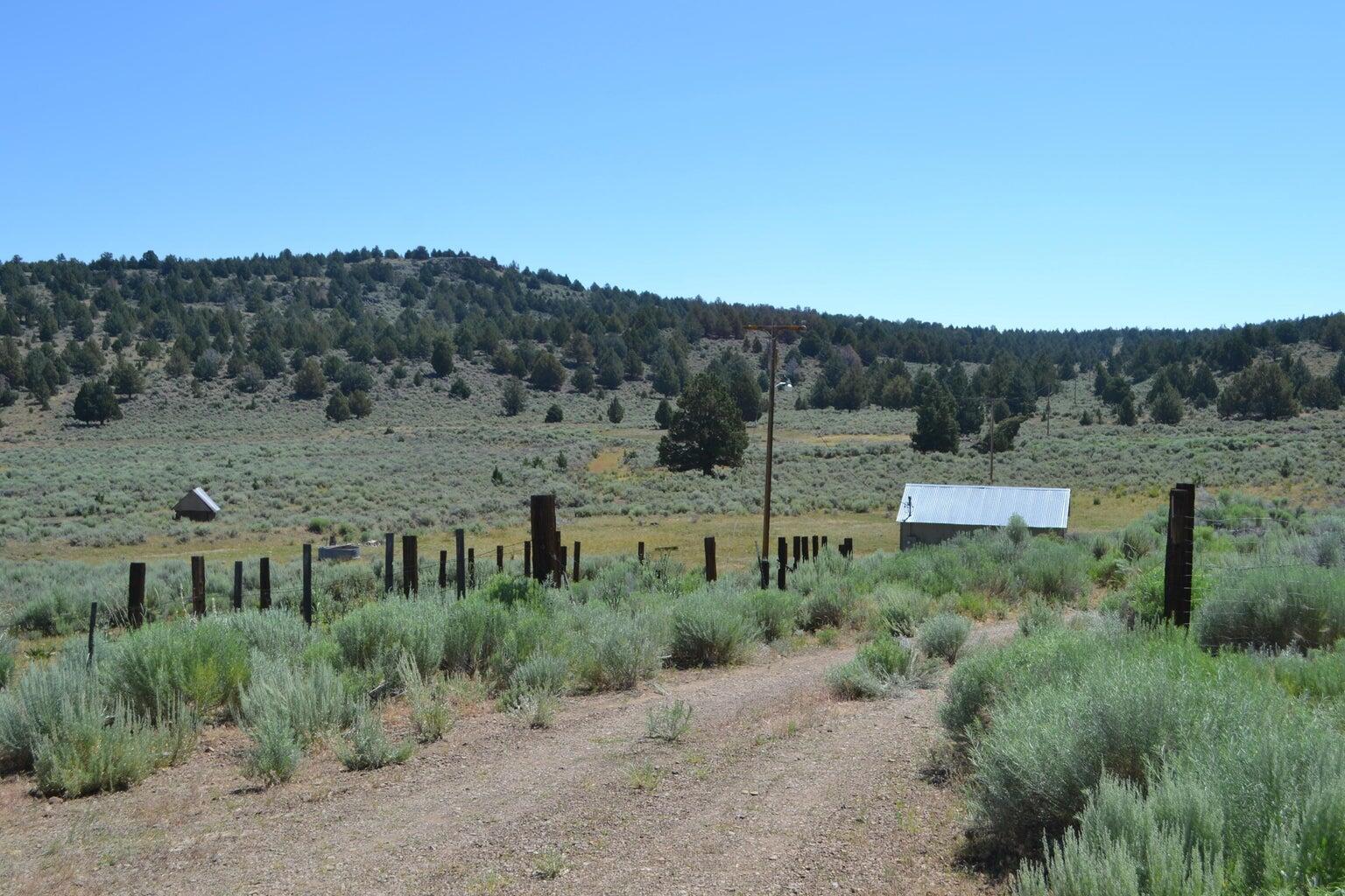 523-400 South Grasshopper Road Termo, CA 96132 - Photo 39 of 44 a view of a lush green field