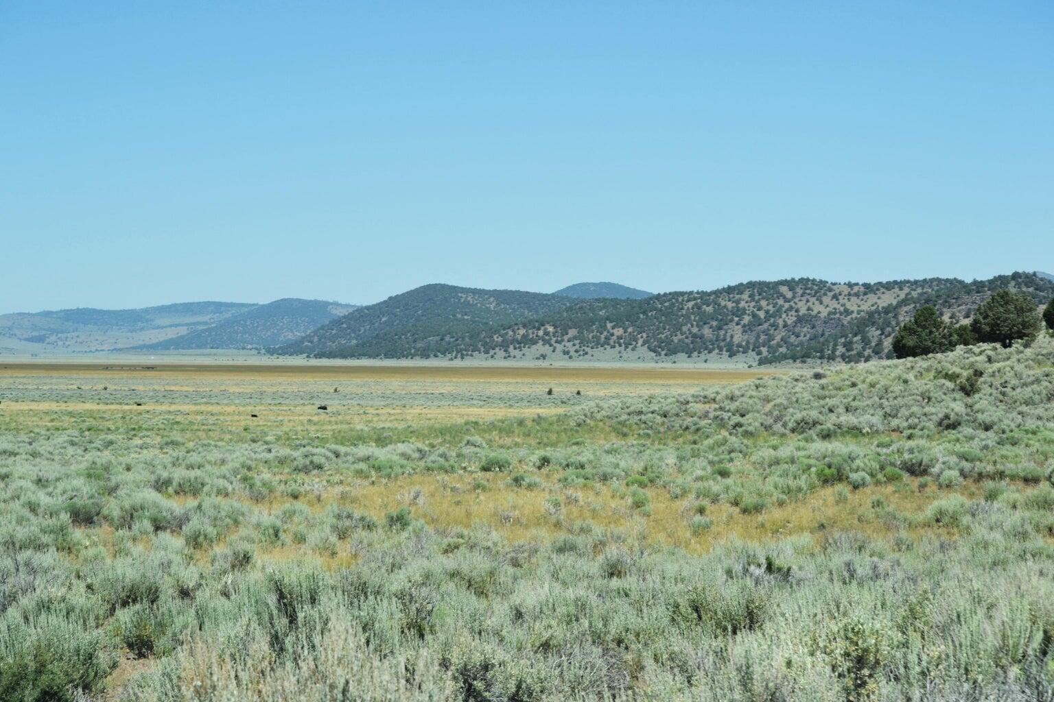 523-400 South Grasshopper Road Termo, CA 96132 - Photo 41 of 44 a view of a lake with a mountain in the background