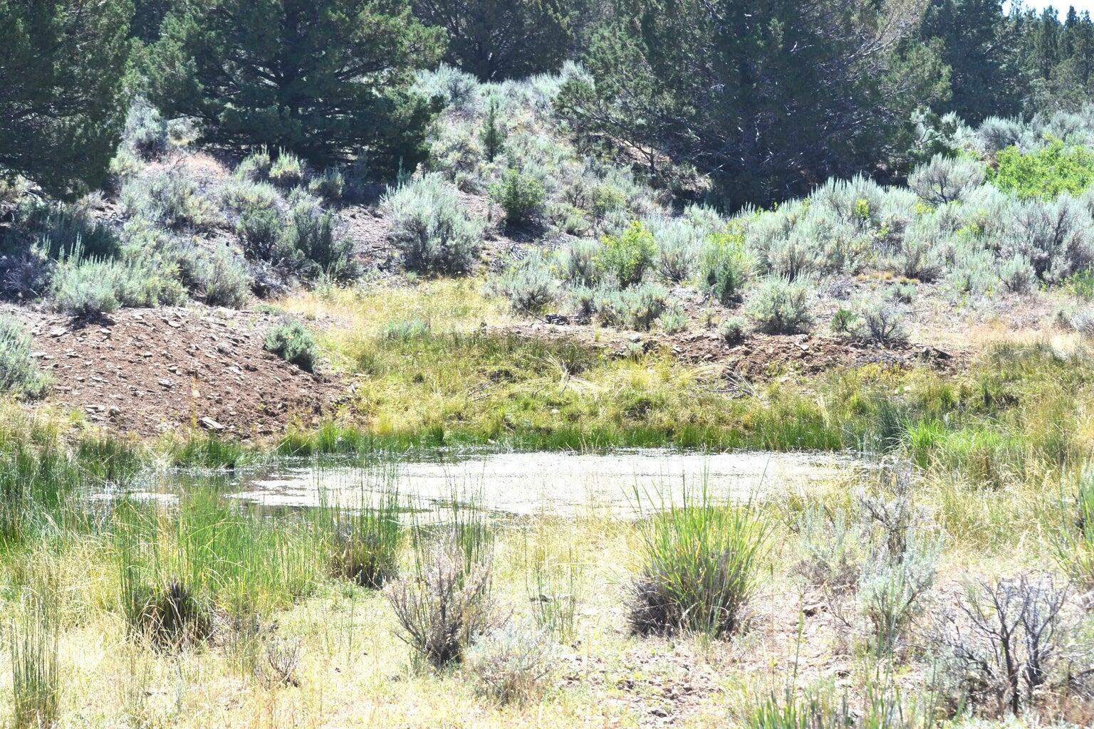 523-400 South Grasshopper Road Termo, CA 96132 - Photo 42 of 44 a view of lake view