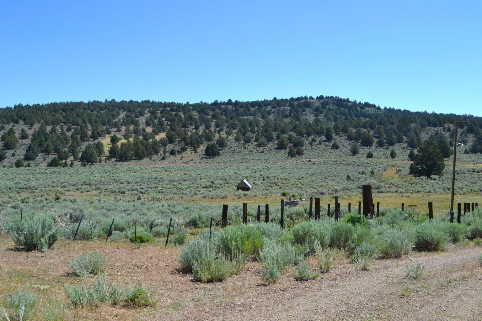 523-400 South Grasshopper Road Termo, CA 96132 - Photo 43 of 44 a view of a field